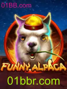 Explorando o Mundo Divertido de FunnyAlpaca